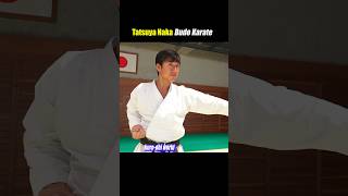 The practical application of Kata【Budo Karate】 [upl. by Corron506]