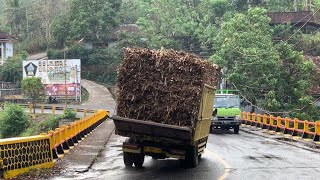 Truk muatan tebu olleng di tikungan Jembatan batas [upl. by Valli156]