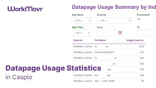 Datapage Usage Statistics in Caspio [upl. by Airelav]