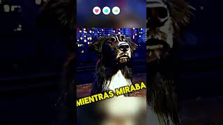 El Perro Fiel Espera Eterna 🐶⏳💔 [upl. by Valenka]