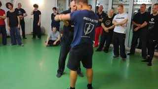 Systema Russian Martial Art  Style Solovyev The human body Pain points Muscle strokes [upl. by Nathanoj]