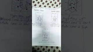 Hypotonicisotonichypertonic solution [upl. by Nitfa]