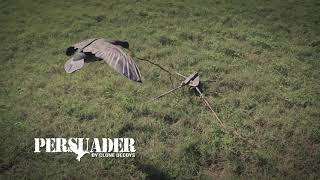 The Persuader by Clone Decoys [upl. by Susette]