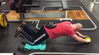 Weighted Ab Wheel Rollout Eccentric Isometrics [upl. by Dnalkrik900]