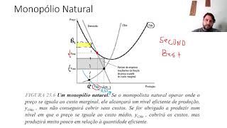 84 Monopólio Natural Monopsônio e Concorrência Monopolística  1ªed [upl. by Ardnazil753]