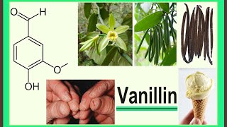 vanillin [upl. by Aroc]