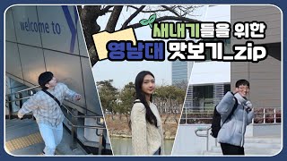 영남대학교Yeungnam University 영대사랑과 함께하는 캠퍼스 투어💙 [upl. by Gunning]