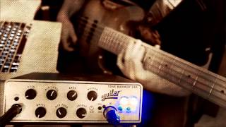 Aguilar Tone Hammer 350 test DI out [upl. by Anna-Diana]