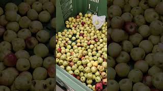 Surprize surprize Iași 09112024 redapple subscribe viralvideo [upl. by Letney7]