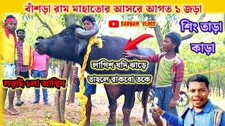 বাঁশড়া রাম মাহাতোর আসরে ১নং কাড়ার জোড়া রাজার মতো বসে আছেচোখ তাড়া শিং নীয়ে। সাক্ষাৎকার [upl. by Coke994]