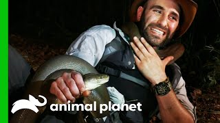 Constricted By A 10 Foot Long Python  Coyote Peterson Brave The Wild [upl. by Cheyney]