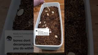 What happens to the bones in the human composting process shorts [upl. by Ania]