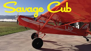 My new Savage Cub [upl. by Leanne]