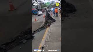 😱En Comayagüela sacan basura de tragante ee agua [upl. by Miche]