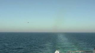 Air force jets flying over cruise ship in the arabian sea  to control [upl. by Meave831]