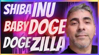 SHIBA INU BABY DOGE COIN E DOGEZILLA GRANDES POSSIBILIDADES shibainu [upl. by Atnes]