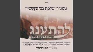 Meyein Olam Haba feat Shloime Hersh Ekstein [upl. by Akinar199]