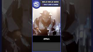 Sangheili Smell Like  Halo Lore [upl. by Wes]