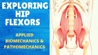 HIP FLEXORS  BIOMECHANICS amp PATHOMECHANICS  PSOAS MAJOR Part 1 [upl. by Ardnoet]