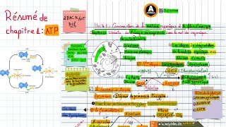 Evaluer la Matière Organique Particulaire dans les sols  méthode simplifiée [upl. by Ochs]