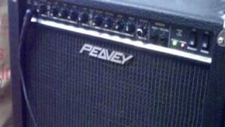 Peavey Prowler demo [upl. by Schulman]