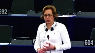 13122016 Gemeinsame Außen und Sicherheitspolitik der EU  Beatrix von Storch AfD [upl. by Akenor]