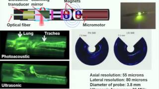 Photoacoustic tomography ultrasonically breaking through the optical diffusion limit [upl. by Eellehs802]