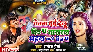 दर्दनाक बेवफाई गीत 2024 Etna Dard Delu Dil Par Viral Bhaiel Bani Reel Parयेतना दर्द देलू दिल प [upl. by Neladgam]