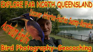 Explore Far North Queensland Atherton Tablelands Birding Geocache Hunt see 100s of Black Kites [upl. by Epuladaug]