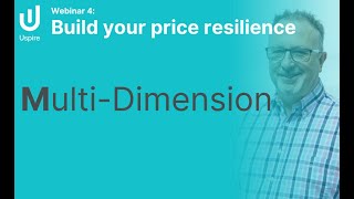 Build your price resilience  Multidimension [upl. by Jenna]