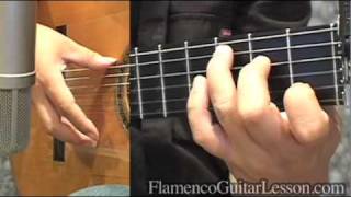 Bulerias Antiguo Sample lesson by Jose Tanaka [upl. by Koval]