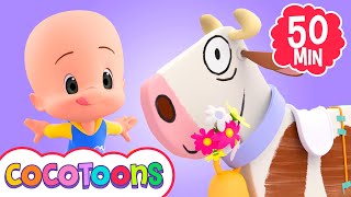 Big Dairy Cow and more Nursery Rhymes for kids from Cleo and Cuquin  Cocotoons [upl. by Ovatsug]