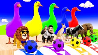 Cow Elephant Tiger Gorilla Hippo 3d Animal Long Slide Game Funny 3d Paint Animals Cage Game [upl. by Maillliw]