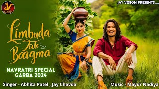 Limbuda Zule Tara Baagma  Abhita Patel Jay Chavda  Navratri Special Song 2024 JayVision123 [upl. by Anerat]