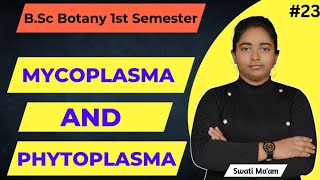 Mycoplasma amp Phytoplasma  Bsc Botany 1st semester  Swati Maam [upl. by Hanser105]