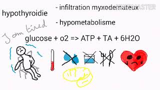 hypothyroidie [upl. by Eirdua]