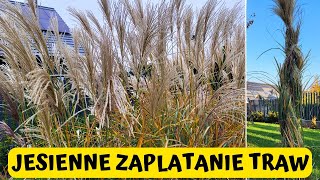 Jak wiązać Trawy na zimę Zaplatamy Miskanty w warkocz 🌾🌾🌾 [upl. by Chane]