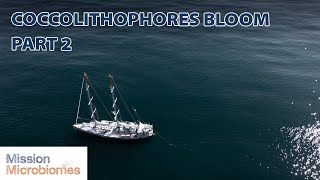 Bloom of Coccolithophores  Part 2  Mission Microbiomes [upl. by Dumah]