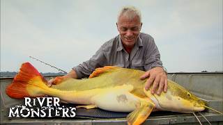 Jeremy Wades UNEXPECTED and ACCIDENTAL Catches  River Monsters [upl. by Ahsiak]