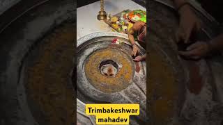 trimbakeshwar mahadev live darshan shiva shivling jyotirling maharashtra samacharfocus [upl. by Conway]