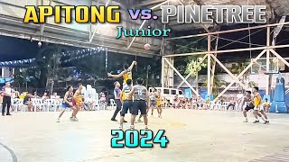 Apitong vs Pinetree Junior Poblacion Summer League 2024 [upl. by Karlyn757]