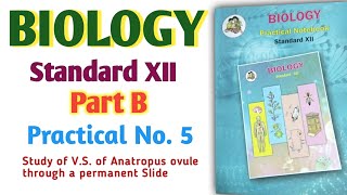 12th Biology Practical No 5 Part B viralvideo biology 12th science chemistry cet trending [upl. by Ib]