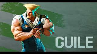 Guile Theme Guitar Cover [upl. by Ursi]