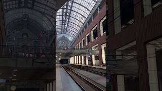 Beautiful Antwerp Central Railway Station 🇧🇪 [upl. by Mcclenaghan49]