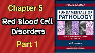 Pathoma Lectures  Chapter 5 Red Blood Cell Disorders Lecture Part 1  pathology [upl. by Palmira793]