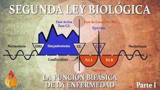 Nueva Medicina Germánica  Segunda Ley Biológica [upl. by Ettenawtna859]