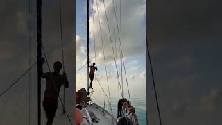 Swinging from the halyard sailing cruising family sailor [upl. by Elish852]