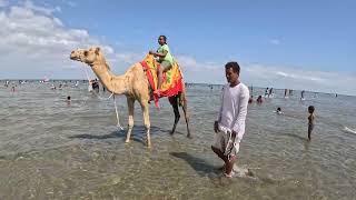 Massawa Eritrea Red Sea Gurgusum Beach 4K 60 FPS [upl. by Richardson146]