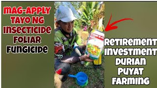 Durian Farming 123 years oldMagapply Tayo Ng Insecticide FoliarFungicide [upl. by Agatha434]