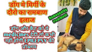 EPILEPSY in dogs  epilepsy in dogs causes signs and treatment  Homeopathy medicines for epilepsy [upl. by Yreffoeg]